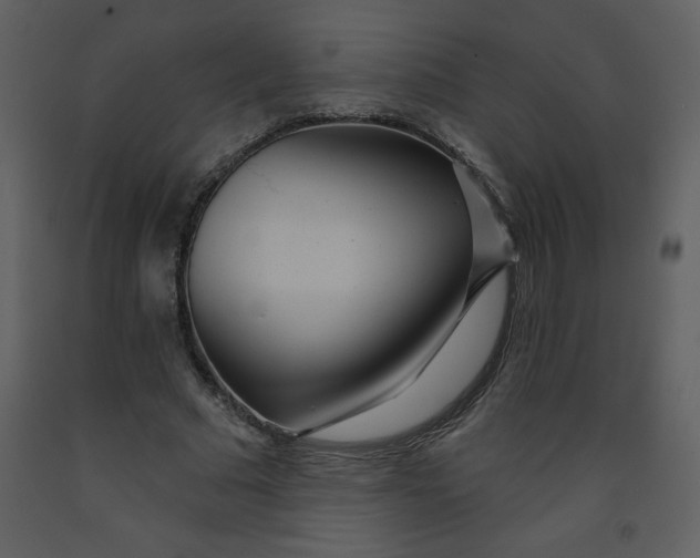 X0000093250681200710171426