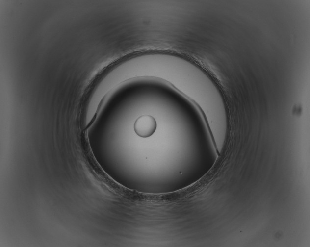 X0000093250684200710171426