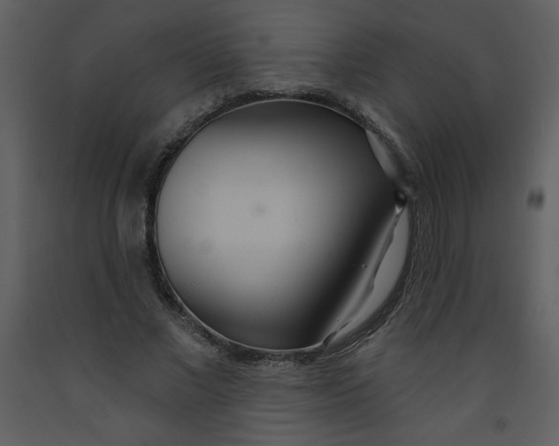 X0000093250685200710171426