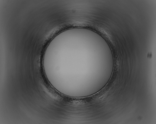 X0000093250686200710171426