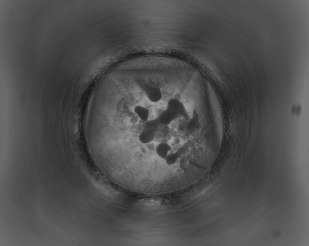 X0000093250687200710171426