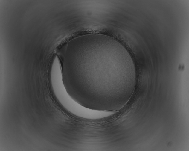 X0000093250689200710171426