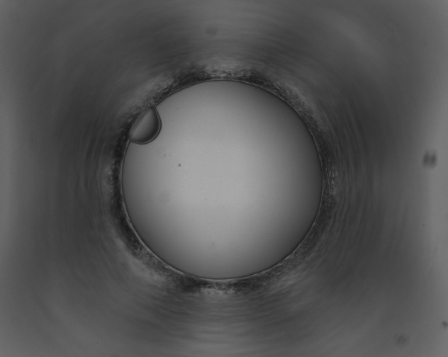 X0000093250690200710171426