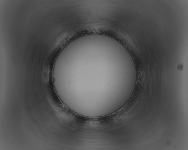 X0000093250694200710171426