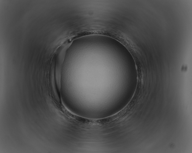 X0000093250696200710171426