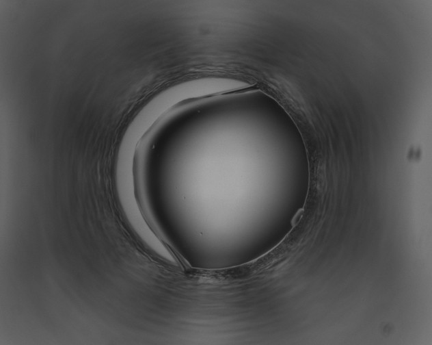 X0000093250697200710171426