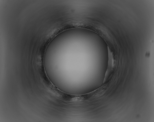 X0000093250700200710171426