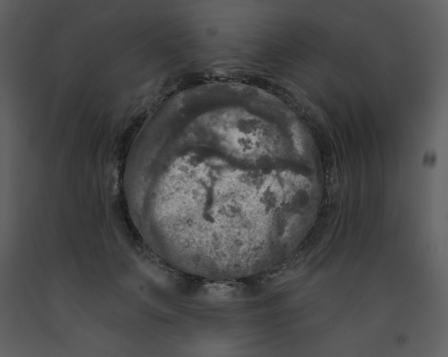 X0000093250703200710171426