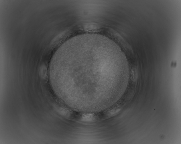 X0000093250705200710171426