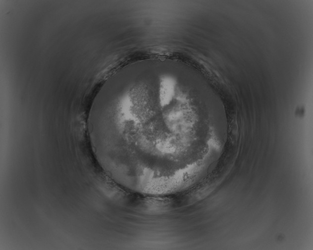 X0000093250707200710171426