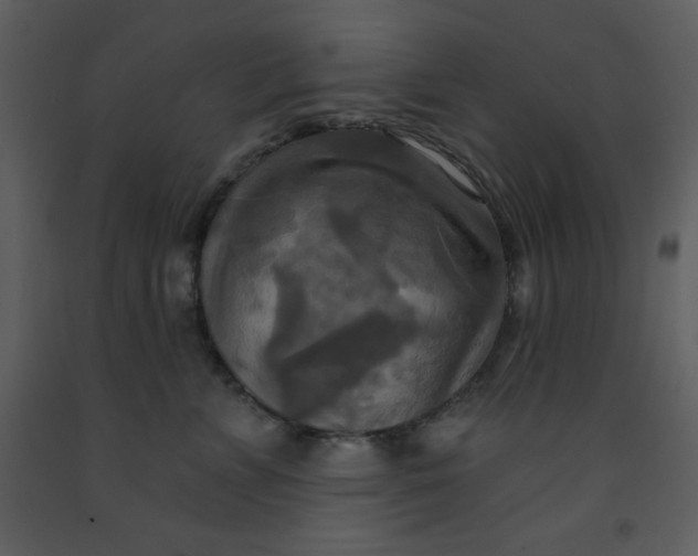 X0000093250715200710171425