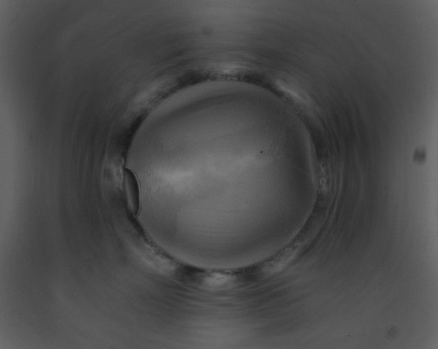 X0000093250718200710171425