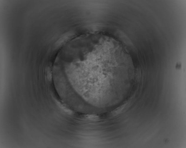 X0000093250719200710171425