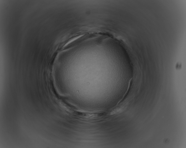 X0000093250720200710171425