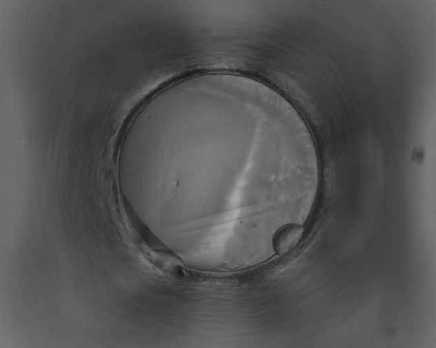 X0000093250721200710171425