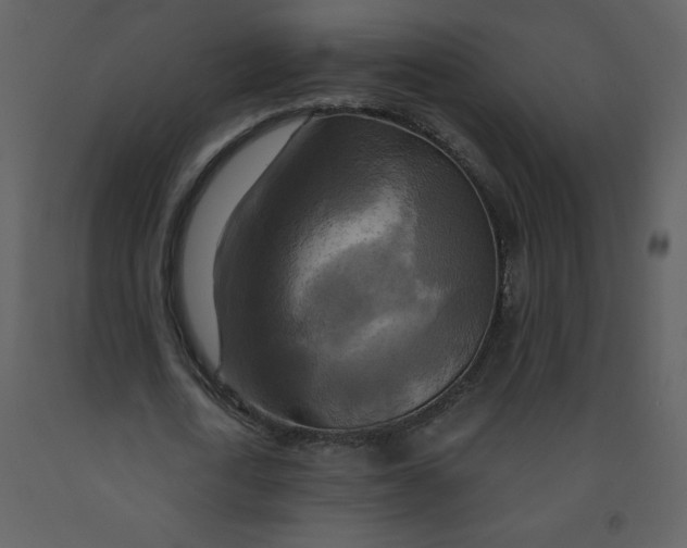 X0000093250722200710171425