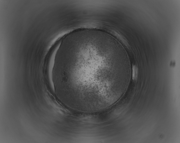 X0000093250723200710171425