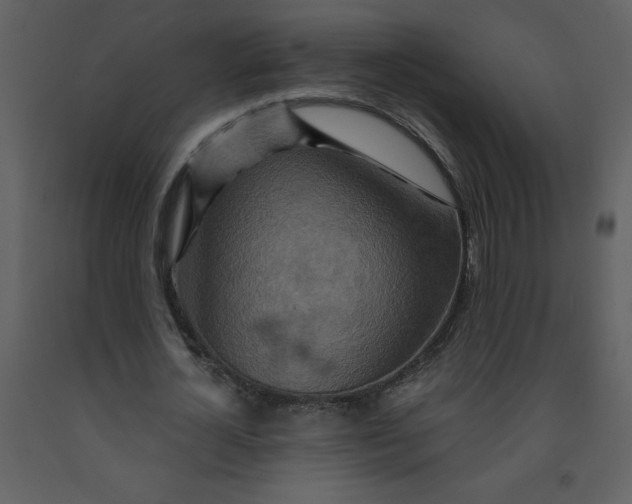 X0000093250724200710171425