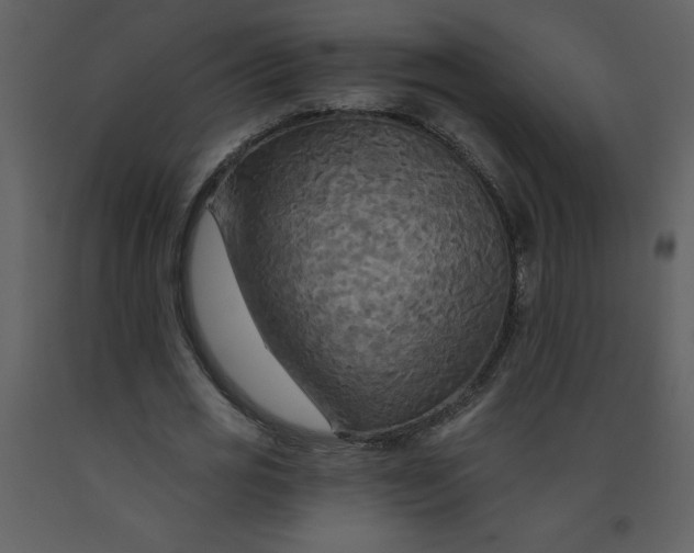 X0000093250725200710171425