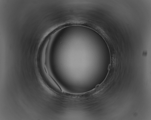 X0000093250726200710171425