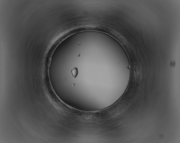 X0000093250728200710171425