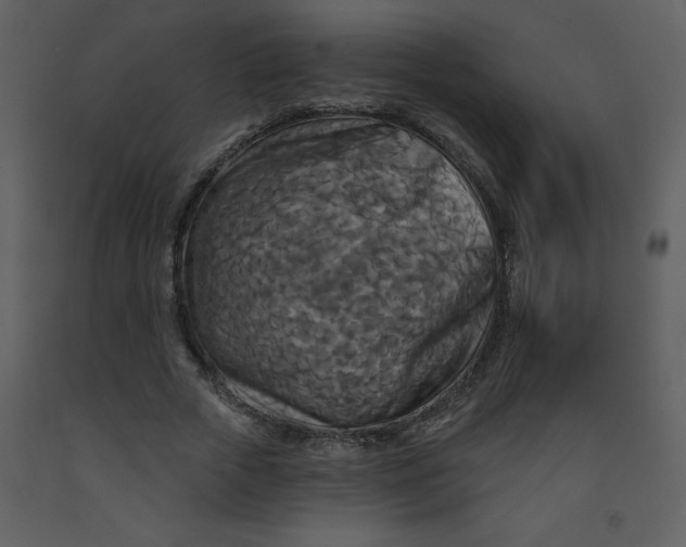 X0000093250729200710171425