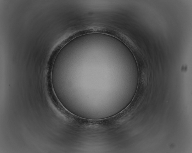 X0000093250730200710171425