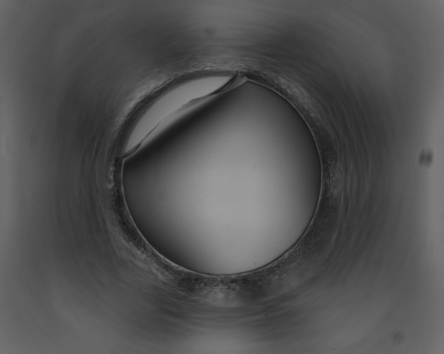 X0000093250731200710171425