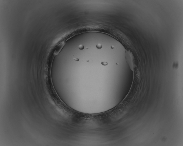 X0000093250732200710171425