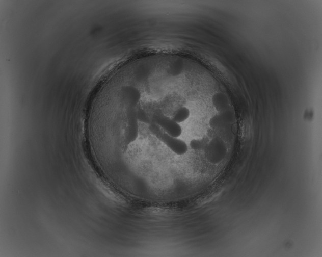 X0000093250733200710171425