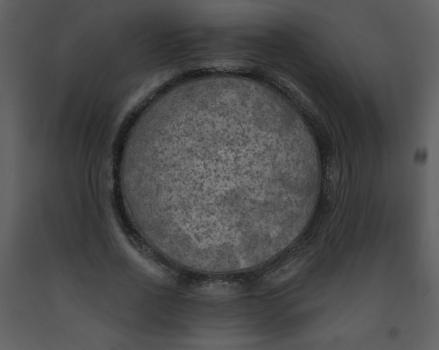 X0000093250734200710171425