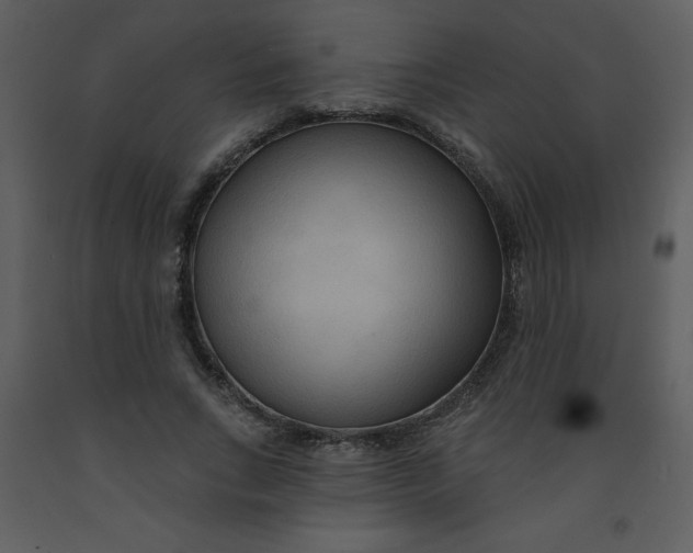 X0000093250735200710171425