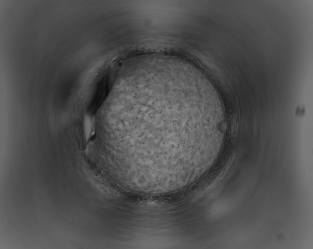 X0000093250737200710171425