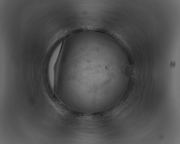 X0000093250738200710171425