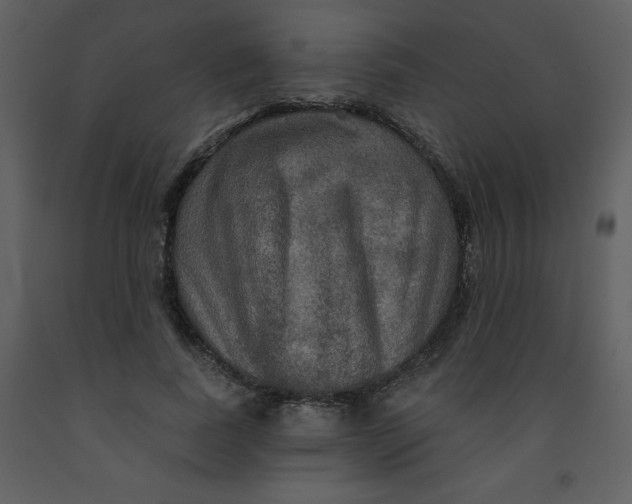 X0000093250739200710171425