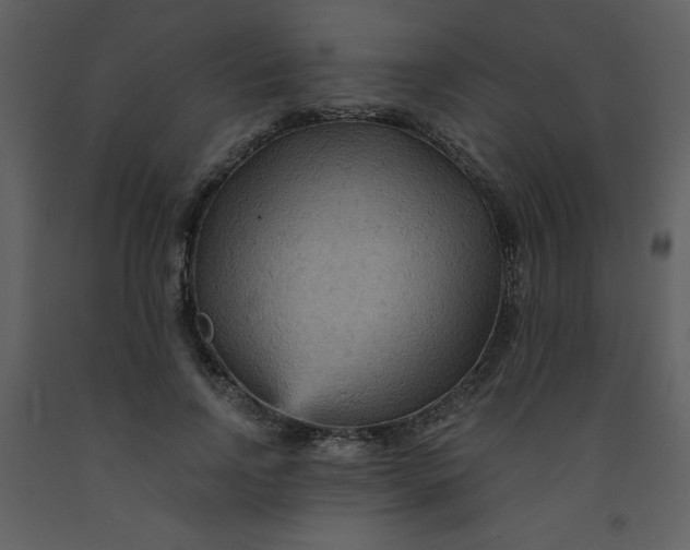 X0000093250742200710171425