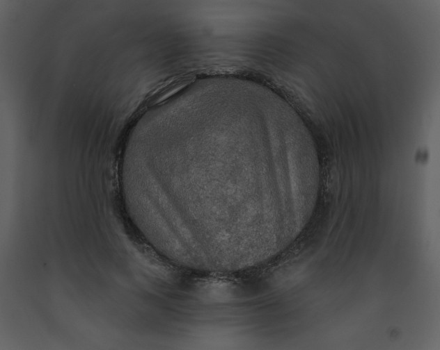 X0000093250743200710171425