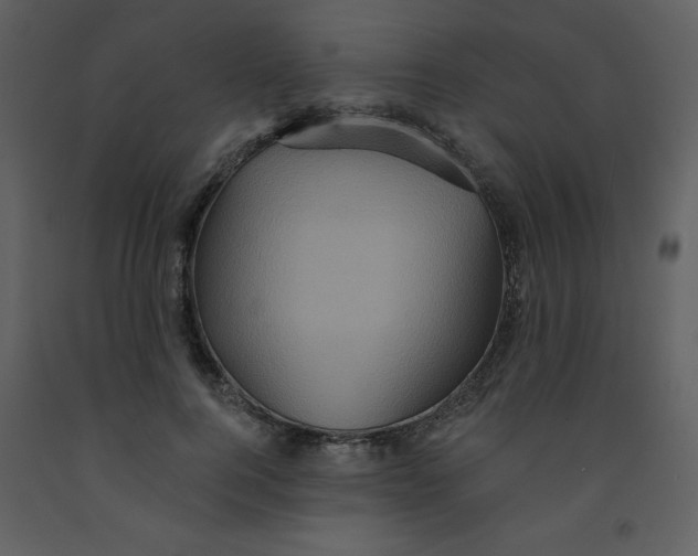 X0000093250744200710171425