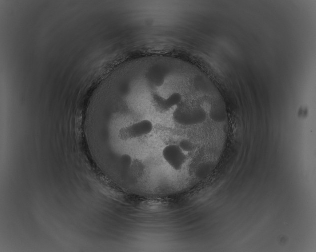 X0000093250745200710171425