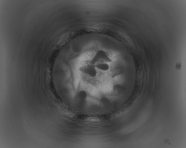 X0000093250749200710171425