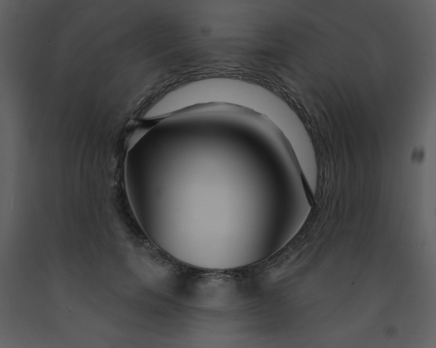 X0000093250750200710171425