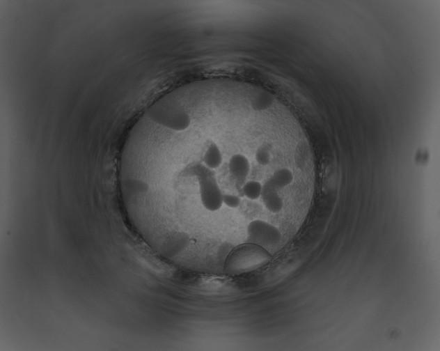 X0000093250753200710171425