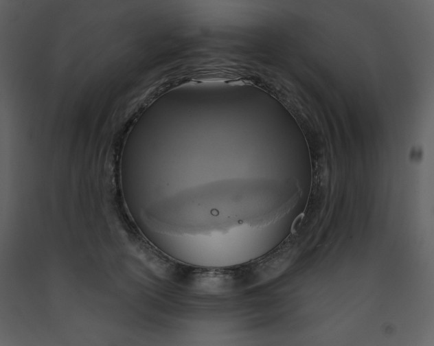 X0000093250754200710171425