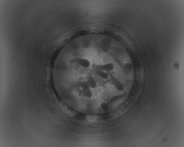 X0000093250757200710171425