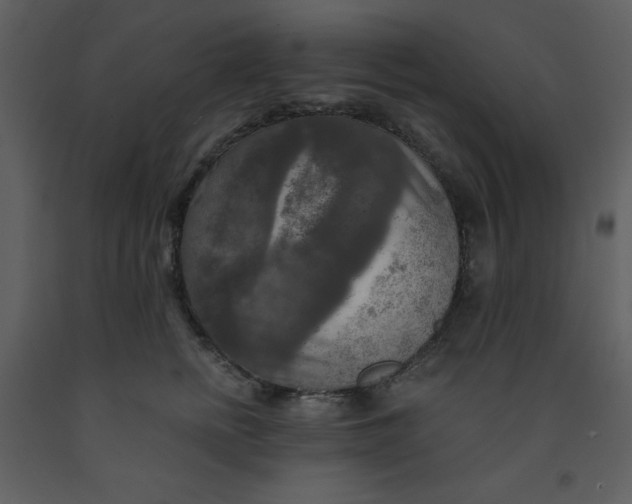 X0000093250758200710171425