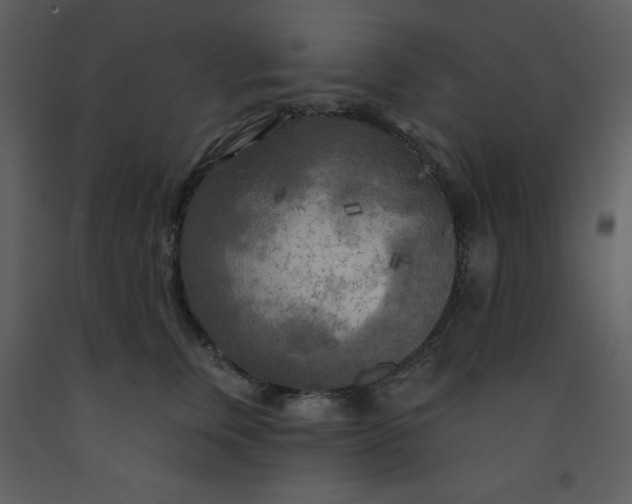 X0000093250759200710171425