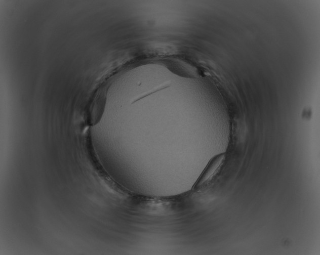 X0000093250760200710171425