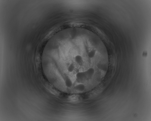 X0000093250761200710171425