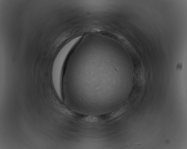 X0000093250762200710171425