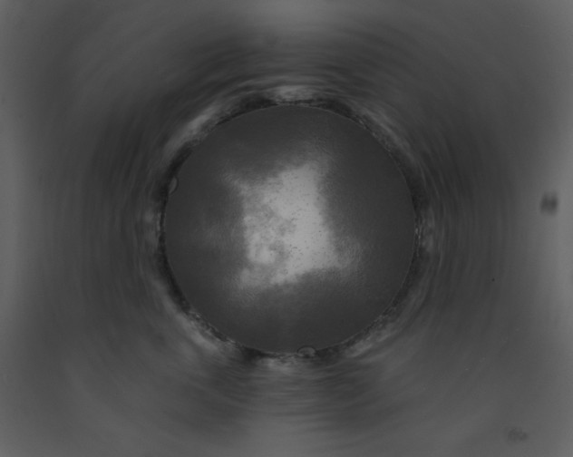 X0000093250763200710171425